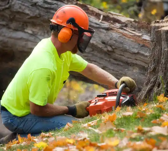 tree services Pelican Rapids